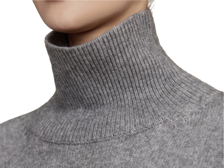 THE AMSTERDAM CASHMERE TURTLENECK NOUVÉL THE LABEL